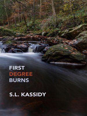 cover image of First Degree Burns